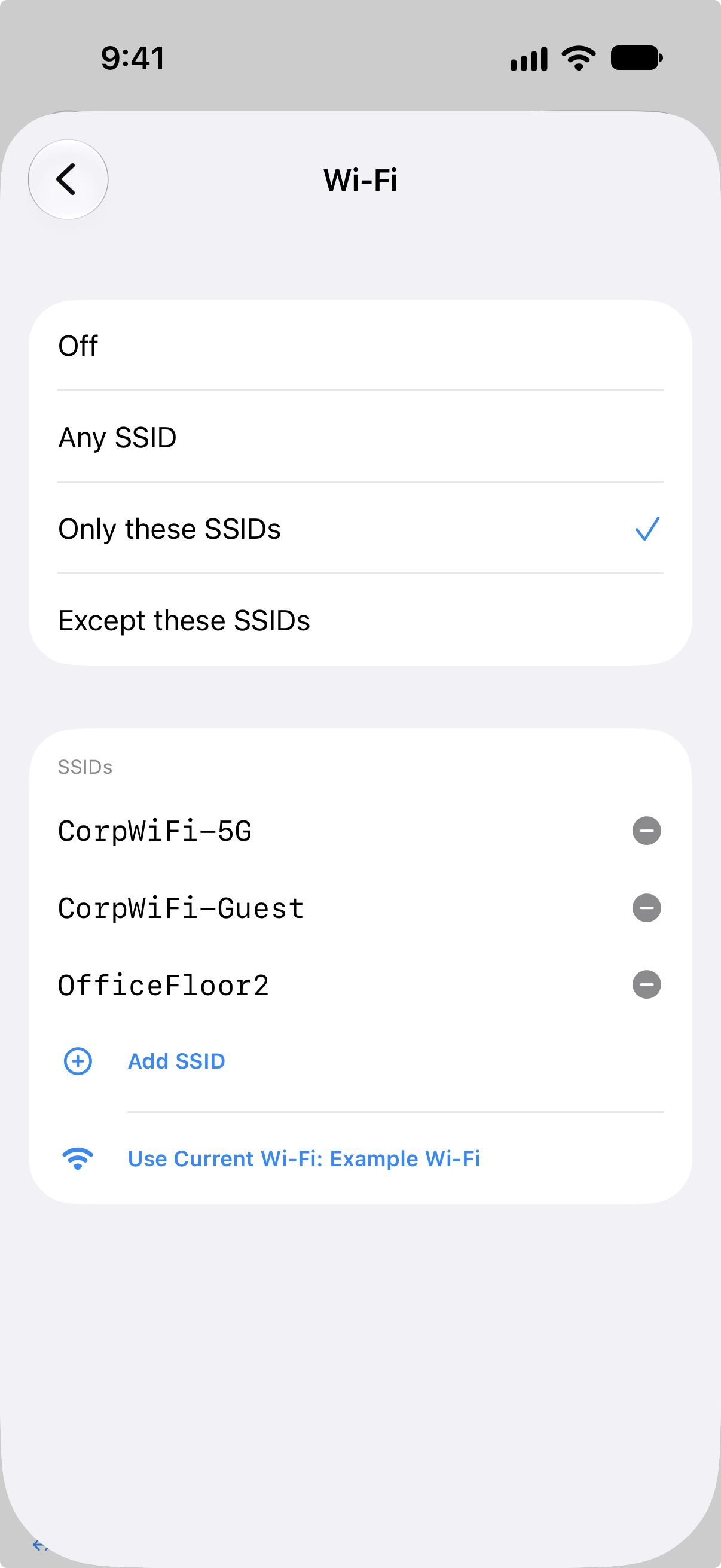 Editor für die WLAN-SSID-Liste mit drei angegebenen Netzwerknamen